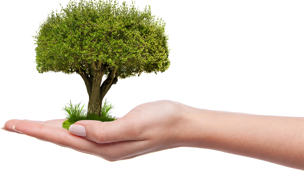 Taking control of your finances - the principles