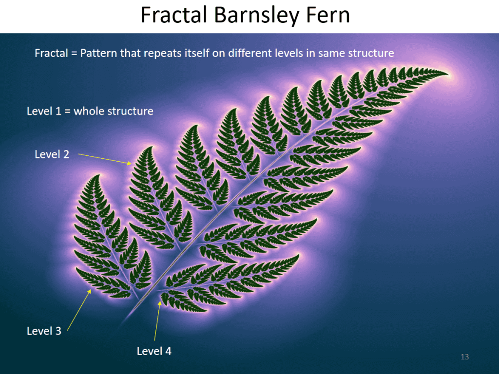 Barnsley fern picture explaining fractals with annotations.