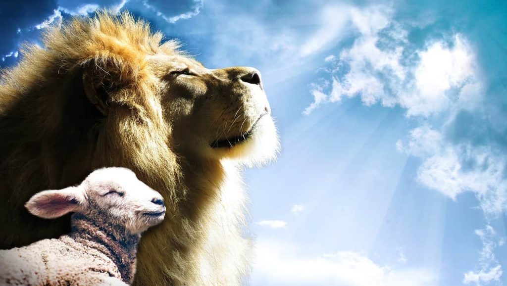 Image of a male lion and a lamb together with light piercing through the clouds representing how Jesus Christ is the true Sabbath rest. 